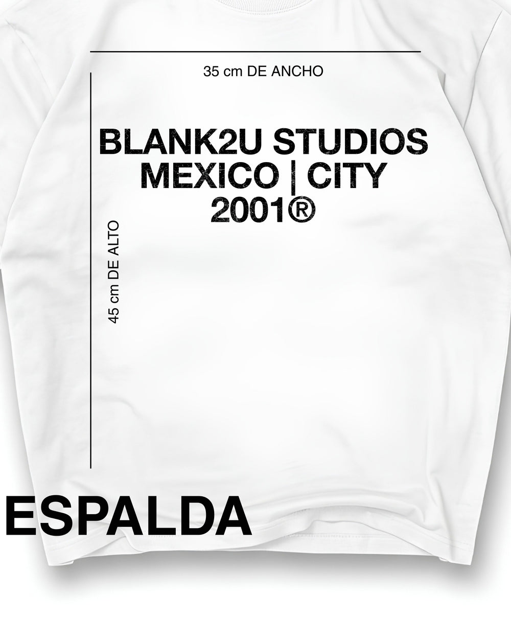 PAQUETE 10 PLAYERAS DTG 300 GSM